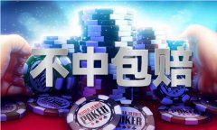 2024新澳门2024原料网